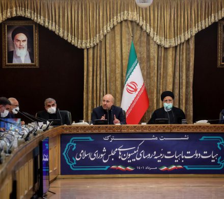 دیدار هیئت دولت با روسای کمیسیون های مجلس شورای اسلامی