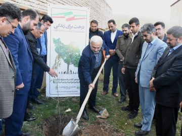 غرس نهال در روستای جلبر
