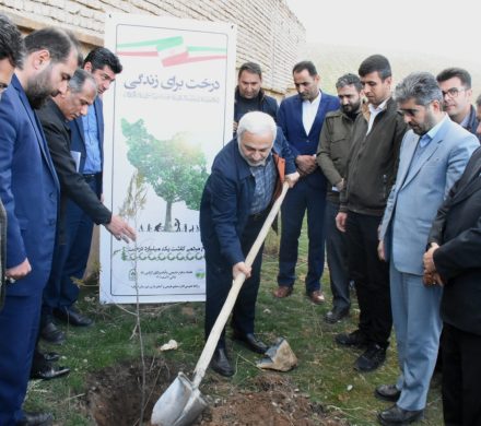 غرس نهال در روستای جلبر
