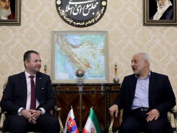 دیدار رئیس کمیسیون امنیت ملی و سیاست خارجی با رئیس کمیته روابط خارجی شورای ملی پارلمان اسلواکی