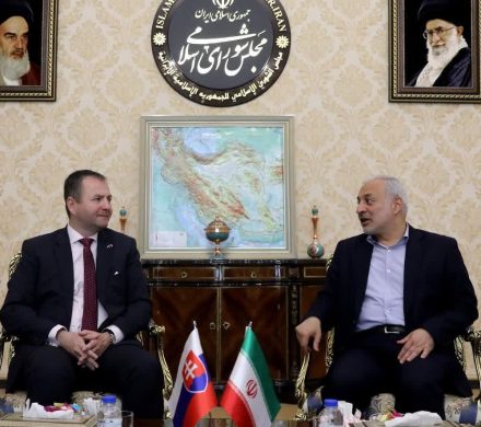 دیدار رئیس کمیسیون امنیت ملی و سیاست خارجی با رئیس کمیته روابط خارجی شورای ملی پارلمان اسلواکی