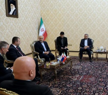 دیدار با رئیس کمیته روابط خارجی شورای ملی پارلمان اسلواکی