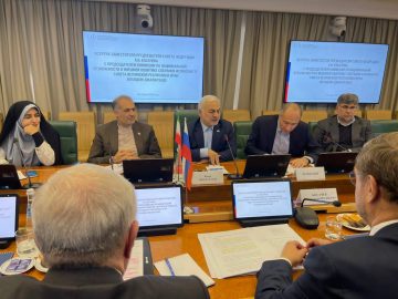 دیدار با معاون رئیس شورای فدراسیون روسیه