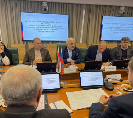 دیدار با معاون رئیس شورای فدراسیون روسیه