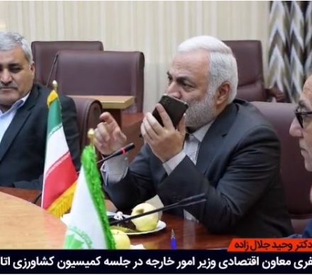 مذاکره تلفنی با معاون دیپلماسی اقتصادی وزیر امور خارجه در مورد صادرات سیب ارومیه