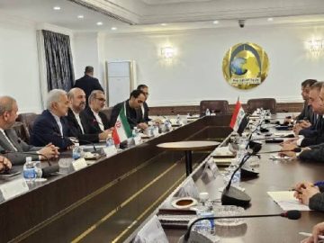 سفر معاون کنسولی، مجلس و ایرانیان وزارت امور خارجه به عراق.