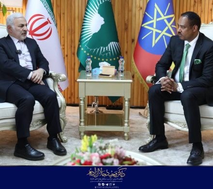 دیدار با معاون سیاسی وزیر خارجه اتیوپی در حاشیه سفر رئیس مجلس شورای اسلامی اسلامی به آن کشور